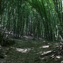 Pohod po Porabju in Židovi